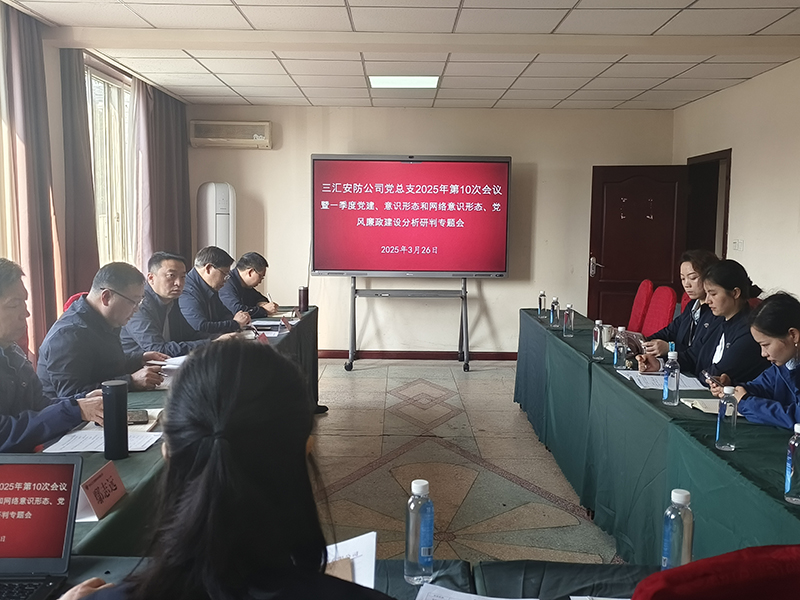 公司党总支召开2025年第一季度党建工作专题会议