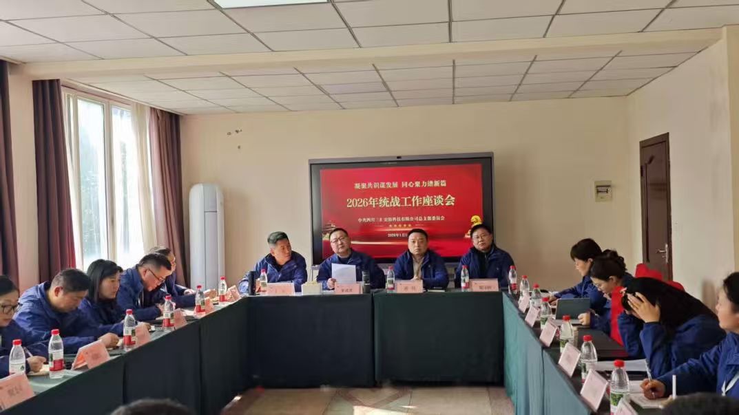 凝聚共识谋发展 同心聚力谱新篇 公司党总支召开统战工作座谈会